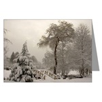Winter Wonderland Greeting Cards Snowy Landscape Photo Greeting Cards Winter Bridge Landscape Cards & Gifts for Men Women & Kids Beautiful Winter Landscape Gifts E-mail to customize