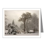 Winter Wonderland Cards Snowy Landscape Photo Gift / Note Cards Winter Bridge Landscape Cards & Gifts for Men Women & Kids Beautiful Winter Landscape Gifts E-mail to customize