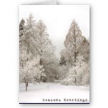 Seasons Greetings Cards Blank Winter Wonderland Christmas Cards