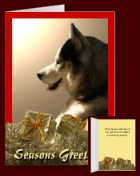 Your Photo Here Custom Christmas Cards 